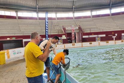 I feria de la Pesca celebrada en Arroyo de la Encomienda