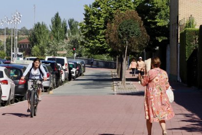 Estado actual de los carriles bici del paseo del Cauce y la calle Rábida.