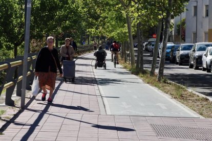 Estado actual de los carriles bici del paseo del Cauce y la calle Rábida.