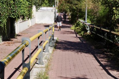 Estado actual de los carriles bici del paseo del Cauce y la calle Rábida.