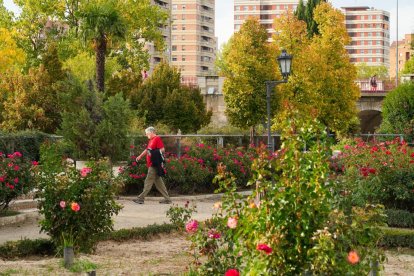 Imagen de La Rosaleda de Valladolid.