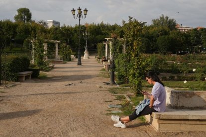 Imagen de La Rosaleda de Valladolid.