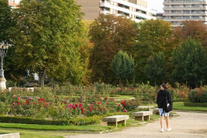 Una persona camina por La Rosaleda en Valladolid.