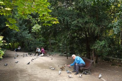 Varias personas disfrutando del Campo Grande de Valladolid.