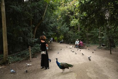 Varias personas disfrutando del Campo Grande de Valladolid.