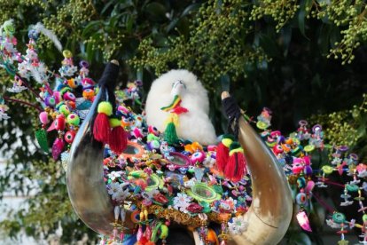 Miembros de colectivos hispanos residentes en Valladolid desfilan ante la mirada del público.