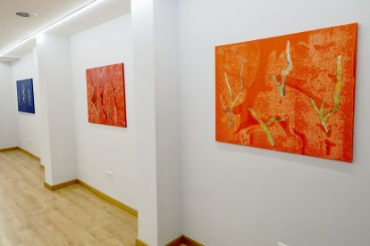 Una imagen de la galería con la serie de Julio Martínez.