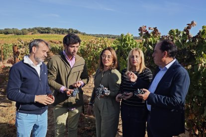 María González Corral, presencia la recogida de uva en la bodega Dominio d’Echauz, en Zayas de Báscones de Soria