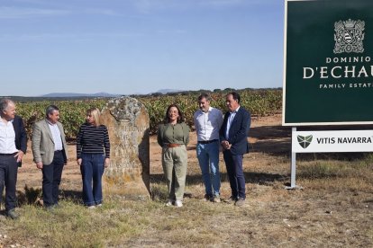 María González Corral, presencia la recogida de uva en la bodega Dominio d’Echauz, en Zayas de Báscones de Soria
