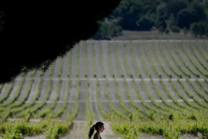 Bodega Abadía Retuerta