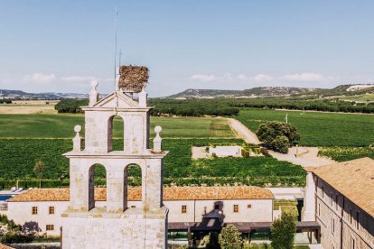 Bodega Abadía Retuerta