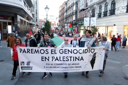 Un momento de la manifestación por el centro de Valladolid.