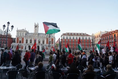 Un momento de la manifestación por el centro de Valladolid.