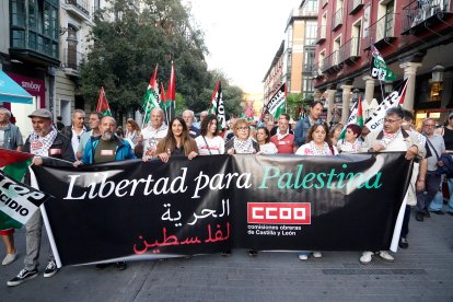 Un momento de la manifestación por el centro de Valladolid.