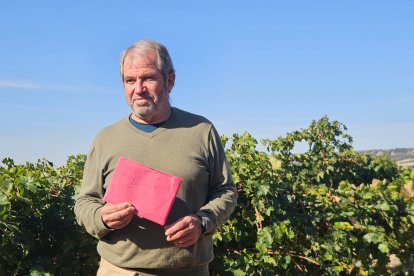 Un fan intenta dar una carta a Antonio Banderas