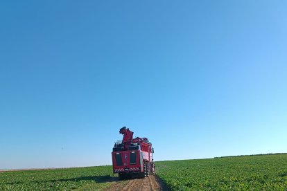 ACOR inicia la campaña 2025-26