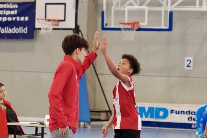 Fanatic Mini de Castilla y León en el polideportivo Barrio de las Delicias de Valladolid.