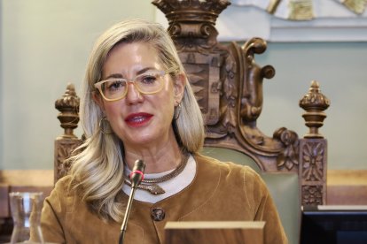 Irene Carvajal, en el pleno de este lunes.
