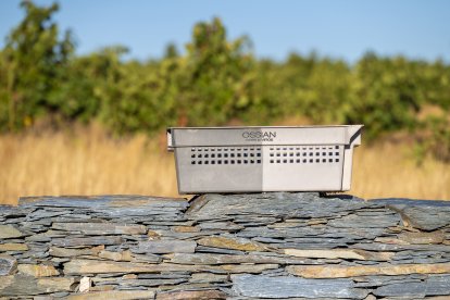 Viñedo de Alma Carraovejas en Nieva (Segovia).