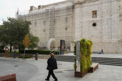 Andamios en la Catedral de Valladolid