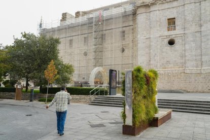 Andamios en la Catedral de Valladolid