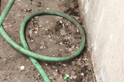 Nave de Arcese en el polígono de San Cristóbal