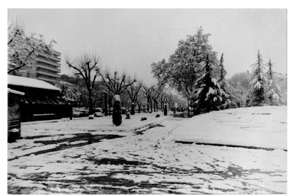 Nevada sobre el escudo y el paseo de coches del Campo Grande.