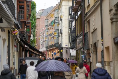 Preparativos de las luces de Navidad.