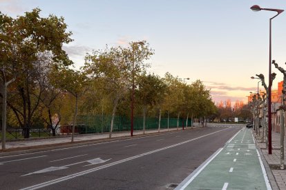 Aglomeraciones a causa de las obras del carril bici en el Paseo de Juan Carlos I