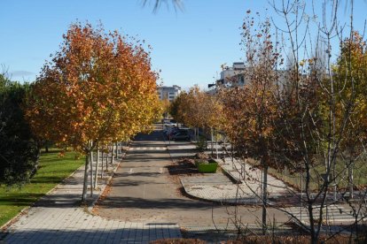 El Callejón de La Alcoholera en la actualidad