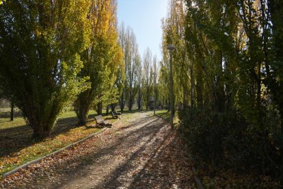 Callejón de La Alcoholera en la actualidad