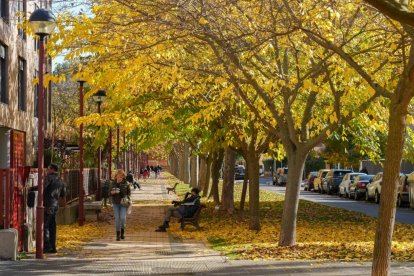 Callejón de La Alcoholera en la actualidad