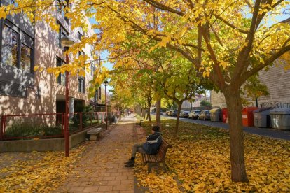 Callejón de La Alcoholera en la actualidad