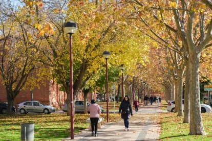 Callejón de La Alcoholera en la actualidad