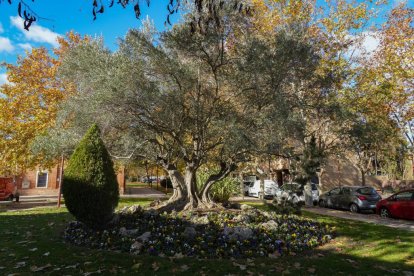 Callejón de La Alcoholera en la actualidad