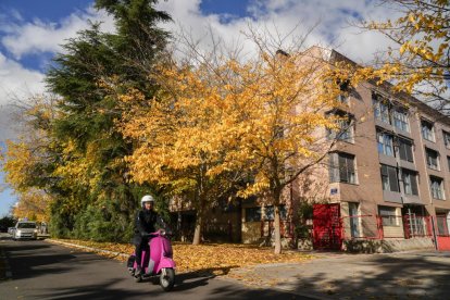 Callejón de La Alcoholera en la actualidad
