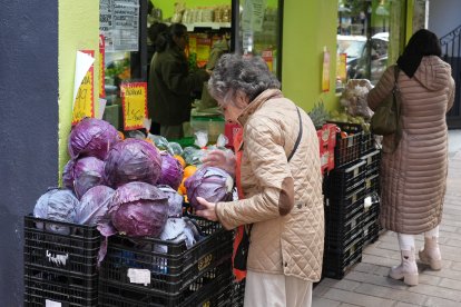 Una clienta elige una lombarda en la frutería Elefante Verde de la calle de Las Mercedes.