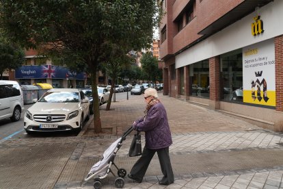 Una mujer con su carro de la compra con el escaparate del taller de la calle de Las Mercedes.