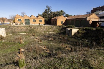 Proyecto de integración de la dársena en la ciudad.