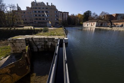 Proyecto de integración de la dársena en la ciudad.