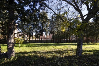 Proyecto de integración de la dársena en la ciudad.