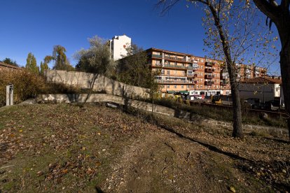 Proyecto de integración de la dársena en la ciudad.