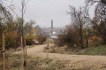 Reserva Biológica Urbana ‘El Tomillo’
