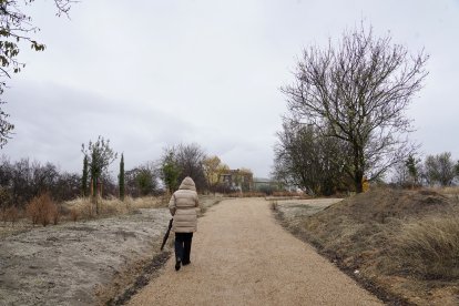 Reserva Biológica Urbana ‘El Tomillo’
