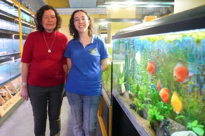 Maribel Alonso con su hija Irene Martín en la tienda de Acuariofilia Aquarium Discus, activa desde hace más de 45 años.