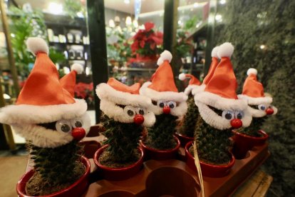 Zonas comerciales ganadoras del IV Concurso de Decoración Navideña en Calles Comerciales de Valladolid