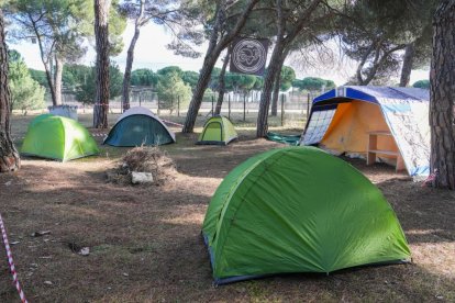 Zona de la antigua hípica donde tendrá lugar Pingüinos 2026