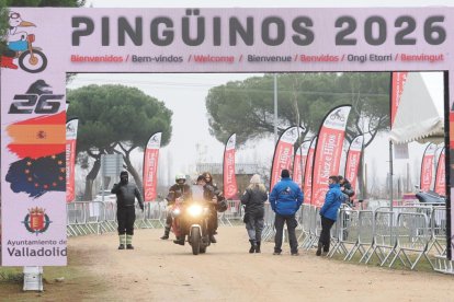 Ambiente Pingüinos.