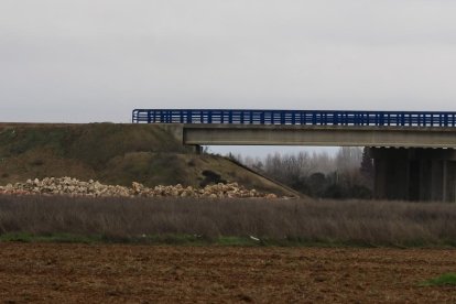 Estado de las obras de la A-11 en ejecución en la provincia de Valladolid.