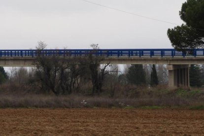 Estado de las obras de la A-11 en ejecución en la provincia de Valladolid.